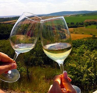 Dum V Podzamci Apartment Melnik Bagian luar foto