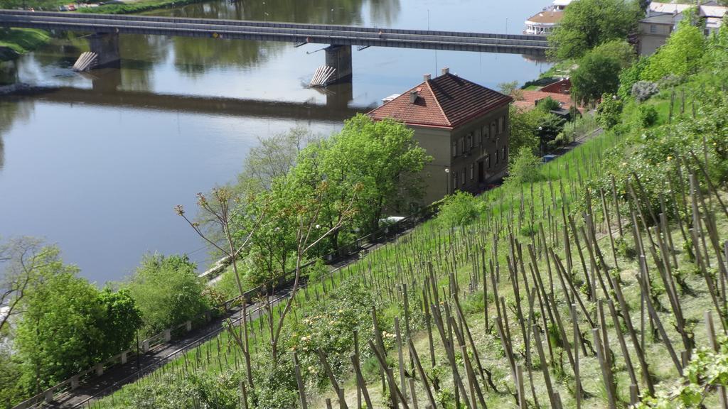 Dum V Podzamci Apartment Melnik Bagian luar foto