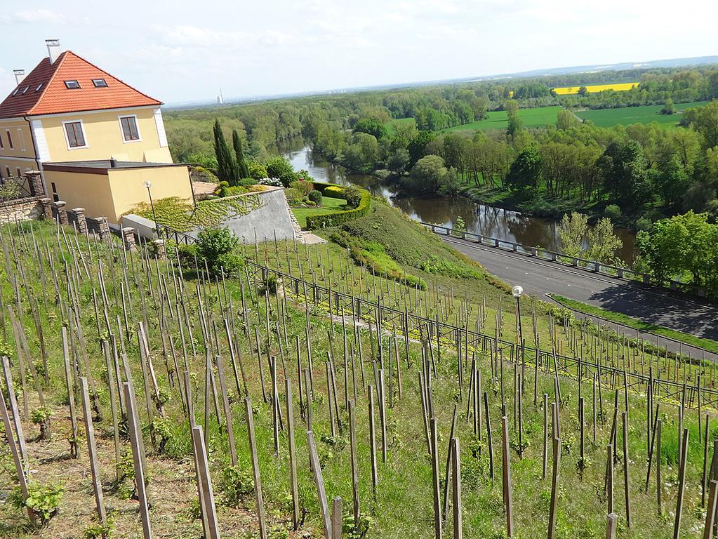 Dum V Podzamci Apartment Melnik Bagian luar foto